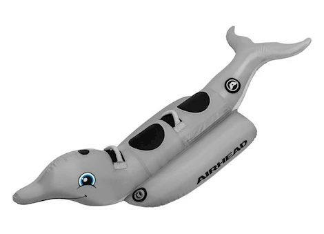 Airhead Dolphin 2 Person Towable Tube